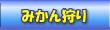 見晴園でのみかん狩り